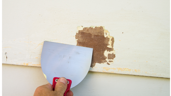 Best Overland Park Exterior Home Painter